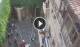 Verona 06.07.2025 09:16