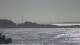 Oost-Vlieland 30.06.2025 09:16