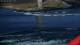 Saltstraumen 30.04.2025 09:13