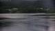 Saltstraumen 02.07.2025 09:12