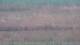 Les Landes-Genusson 05.07.2025 09:16