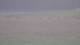 Les Landes-Genusson 15.06.2025 09:16