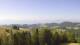 Diex 15.06.2025 09:02
