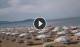 Paestum 12.07.2025 09:16
