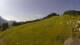 Sonnleitn 05.07.2025 09:04