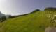 Sonnleitn 14.06.2025 09:04