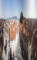 Graz 14.06.2025 09:06