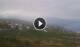 El Sauzal (Teneriffa) 14.06.2025 09:17