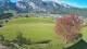 Abtenau 30.04.2025 09:17
