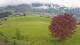 Abtenau 22.04.2025 09:17