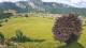 Abtenau 09.06.2025 09:17