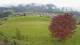 Abtenau 23.03.2025 09:17