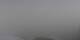 Mürren 16.03.2025 09:08