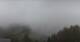 Forni di Sopra 22.03.2025 09:18