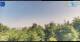 Gorga 09.06.2025 09:18