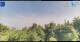 Gorga 14.06.2025 09:18
