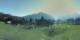 Cordon 29.04.2025 09:19