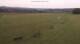 Großbreitenbach 09.06.2025 09:19
