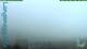 Langenegg 08.07.2025 09:19