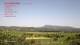 Carcès 15.06.2025 09:48