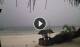 Bwejuu (Sansibar) 30.04.2025 09:21