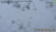Neukirchen am Grossvenediger 16.05.2025 09:17