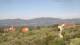 Pietrapiana 15.05.2025 09:22