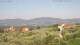 Pietrapiana 03.07.2025 09:21