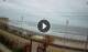 Puerto Malabrigo Chicama 14.07.2025 09:29