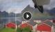 Hamnøy 02.07.2025 09:21