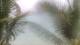 Pointe aux Canonniers 30.04.2025 09:22