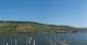 Bingen am Rhein 30.04.2025 09:22