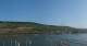 Bingen am Rhein 09.07.2025 09:22