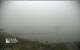 Shelburne 01.07.2025 09:34