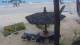 Phan Thiet 30.04.2025 09:23