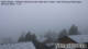 Falkertsee 09.05.2025 09:21