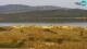 Porto Pollo (Sardegna) 29.04.2025 09:23