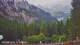 Schwangau 15.06.2025 09:23
