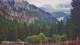 Schwangau 09.07.2025 09:22