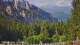 Schwangau 09.06.2025 09:23