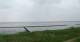 Nebel (Amrum) 09.06.2025 09:23