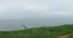 Nebel (Amrum) 05.07.2025 09:23