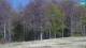 Pamparato 30.04.2025 09:23