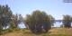 Werder (Havel) 02.07.2025 09:23
