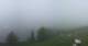 Bad Bleiberg 08.06.2025 09:24