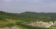 Cerretto Langhe 15.06.2025 09:25