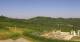 Cerretto Langhe 14.06.2025 09:25