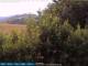 Bolonia 09.06.2025 09:25
