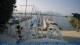 Breitbrunn am Chiemsee 09.06.2025 09:25