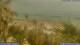 San Benedetto del Tronto 14.06.2025 09:25